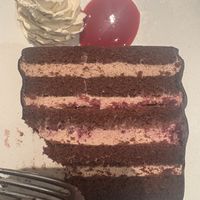   at plant more in Tokyo