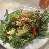   at plant more in Tokyo