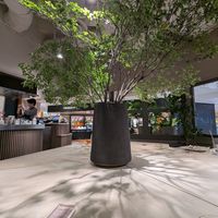  at plant more in Tokyo