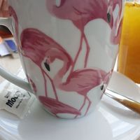  at Flamingo's in Lanzarote