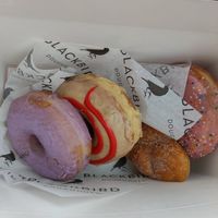 Blueberry lavender, mango swirl, cinnamon sugar braid, and strawberry at Blackbird Doughnuts  in Watertown