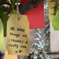 ☺️ at Green Point in Cusco