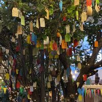 tree whit love at Green Point in Cusco