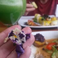I love eating pretty flowers! makes me feel pretty too.  at Green Point in Cusco