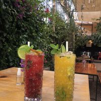   at Green Point in Cusco