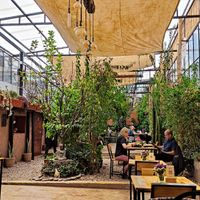  at Green Point in Cusco