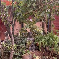   at Green Point in Cusco