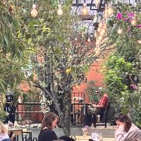 Inside view from our table    at Green Point in Cusco