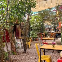   at Green Point in Cusco