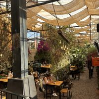   at Green Point in Cusco