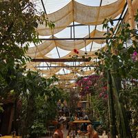 Cozy at Green Point in Cusco