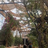   at Green Point in Cusco