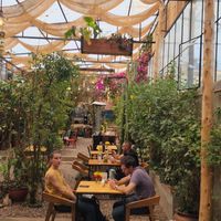  at Green Point in Cusco