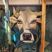  at Green Point in Cusco