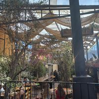   at Green Point in Cusco