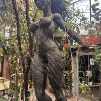   at Green Point in Cusco