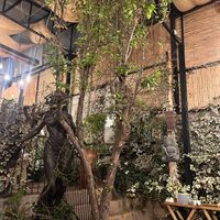 vibes   at Green Point in Cusco