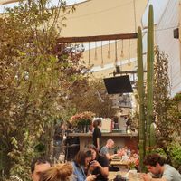 Vibe of venue at Green Point in Cusco