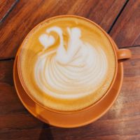   at Messkla in Florianopolis