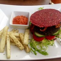 Raw vegan burger with raw fries and ketchup at Plevel in Prague