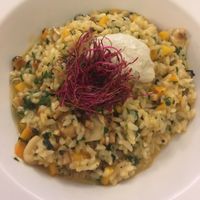risotto with cashew cheese  at Plevel in Prague