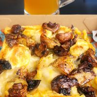 Shredder at Turtle in Auckland