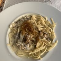 tagliatelle fungi  at Cafe Mandala in Salamanca