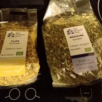 Elderflower and hawthorn (Het Blauwe Huis) at Gimsel - De Groene Passage in Rotterdam