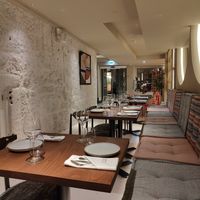 Roots at roots in Porto