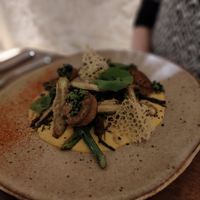 a main course at Roots at roots in Porto