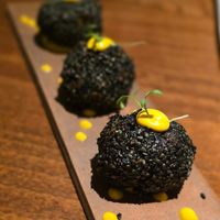 Truffled mushrooms at roots in Porto