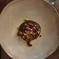 Mousse at roots in Porto