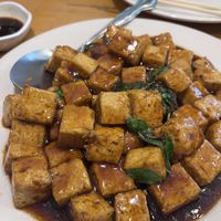 Basil tofu 🌿   at Taipei 101 Authentic Chinese Cuisine in Cary
