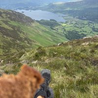   at Yonder   in Keswick