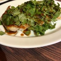 Vegan dumplings with spicy sauce and coriander  at The original Shinshu gyoza Tsukumo Yokocho - 元祖信州餃子 ツクモ横丁 in Nagano