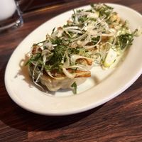 Vegan dumplings with spring onions  at The original Shinshu gyoza Tsukumo Yokocho - 元祖信州餃子 ツクモ横丁 in Nagano