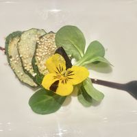   at Restaurant Traubenwirt in Bressanone