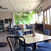 Light filled interior at Fine Fettle Cafe in Taupo