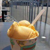 Havtorn sorbet (sea buckthorn) at Ismageriet - Kødbyen in Copenhagen