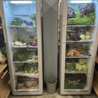   at Plattsalat West in Stuttgart