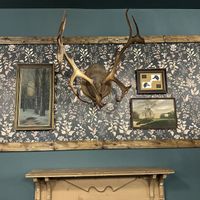   at Copperline Coffee & Cafe in Daytona Beach