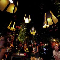   at Mugo in Tirana