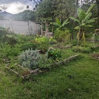 They also have a garden and grow their own food. at Prasādam in Vilcabamba