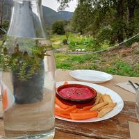 Aigua amb farigola i llimona i hummus de remolatxa at La Cort Montseny in Ducat Del Montseny
