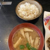Tofu soup, half white rice half brown  at Kinatei 喜菜亭 in Nara