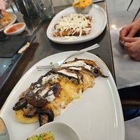  at Consuelo in Gainesville