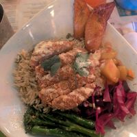 Rice bowl with plant based chicken at Turtle Bay - Blackpool in Blackpool