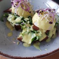  at Vlora & Vauna in Dresden