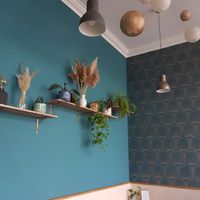  at Vlora & Vauna in Dresden