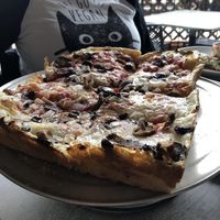   at Urban Field in Longmont